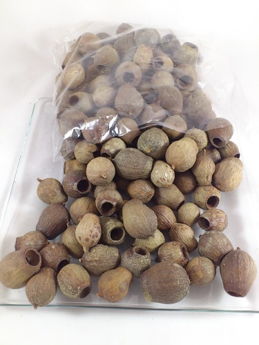 Eucalyptus bells (Bellgums) 1 kg.